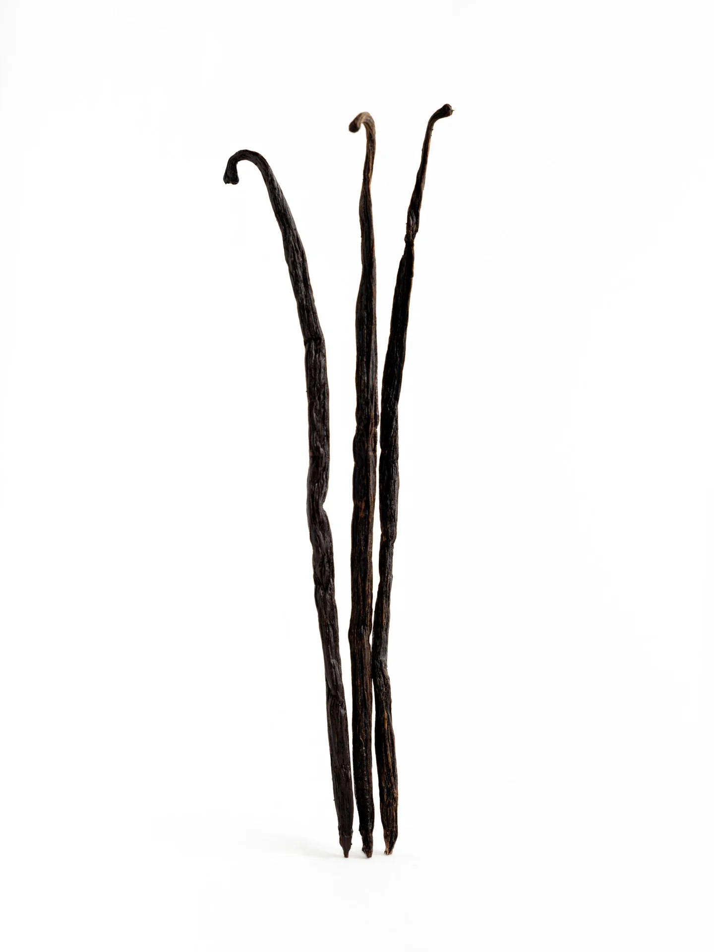 Perfume One Bloom - Image 4